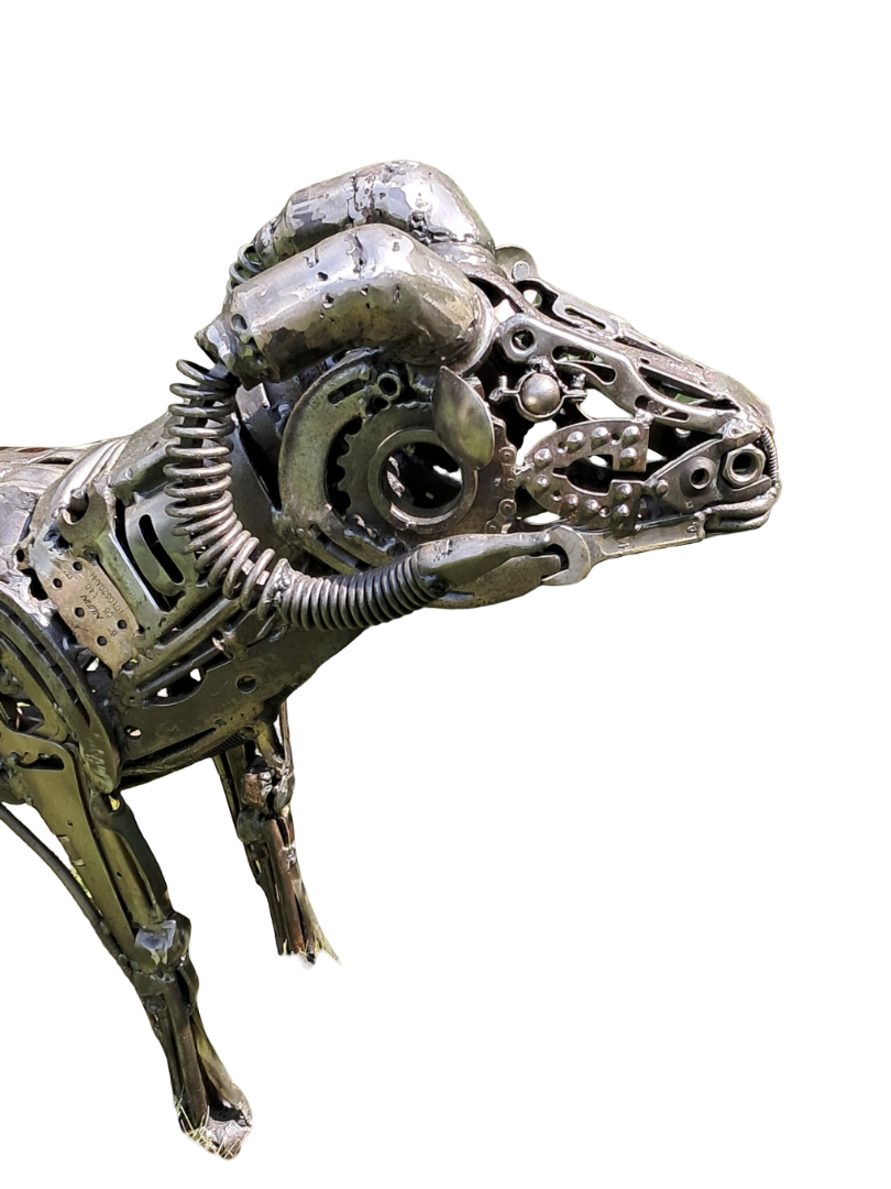 Le bélier – Image 2