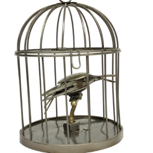 Le colibri en cage