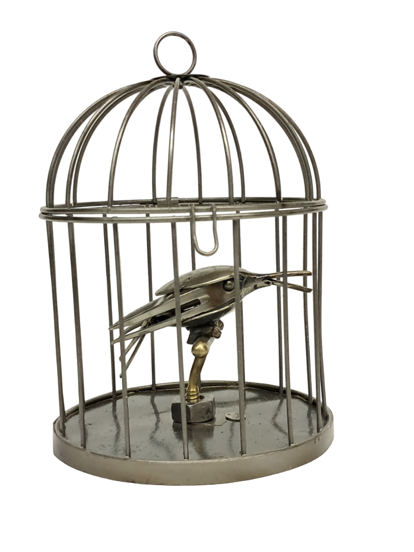 Le colibri en cage